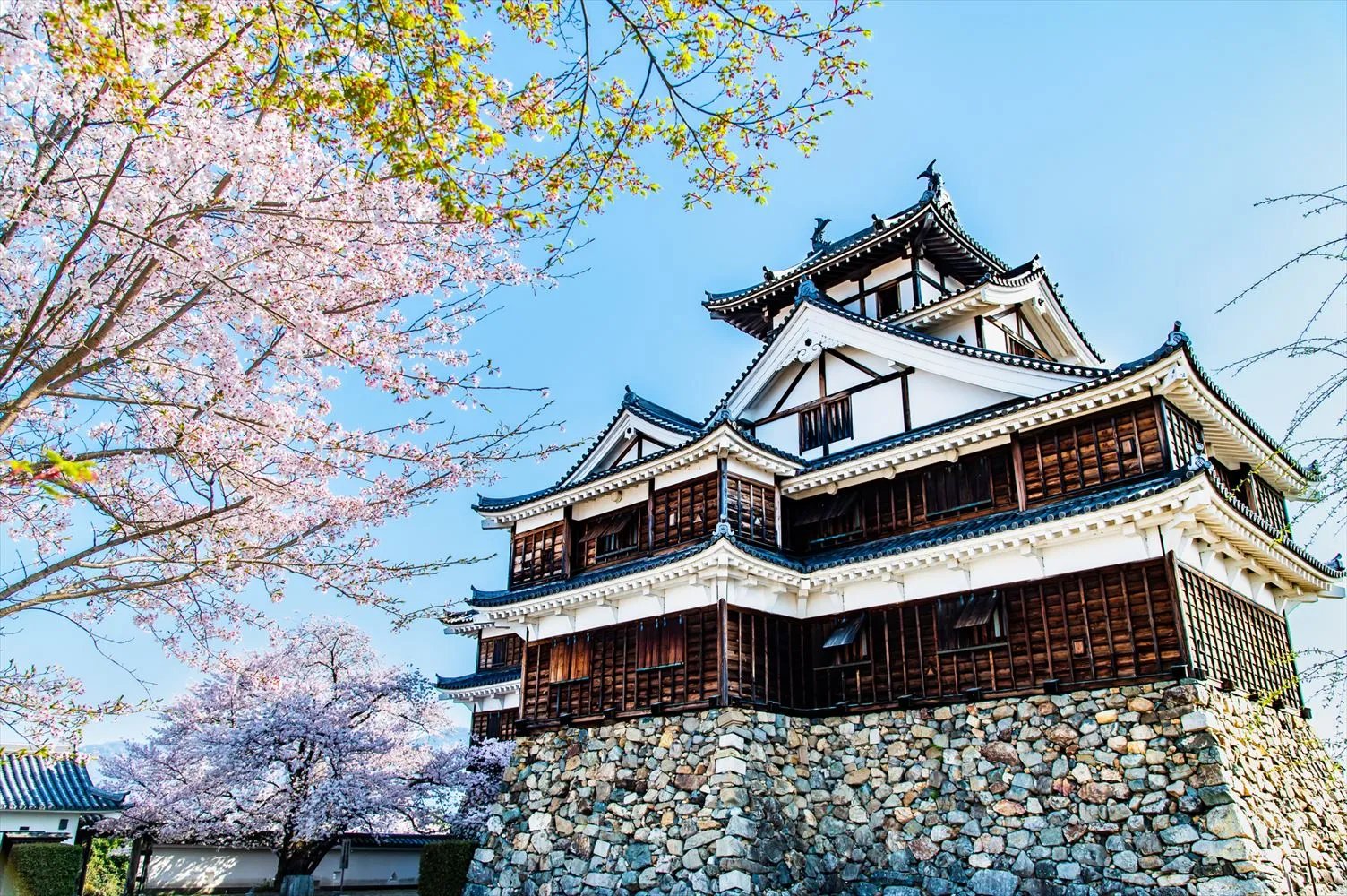 🏯 후쿠치야마 성 공원 (후쿠치야마조코엔) 이미지 9